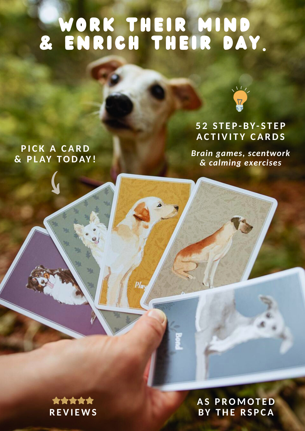 Enrichment Deck (Brain Games for Dogs)