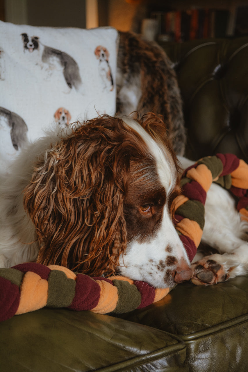 HARVEST Forager’s Plait – Snuffle Toy Puzzle Feeder