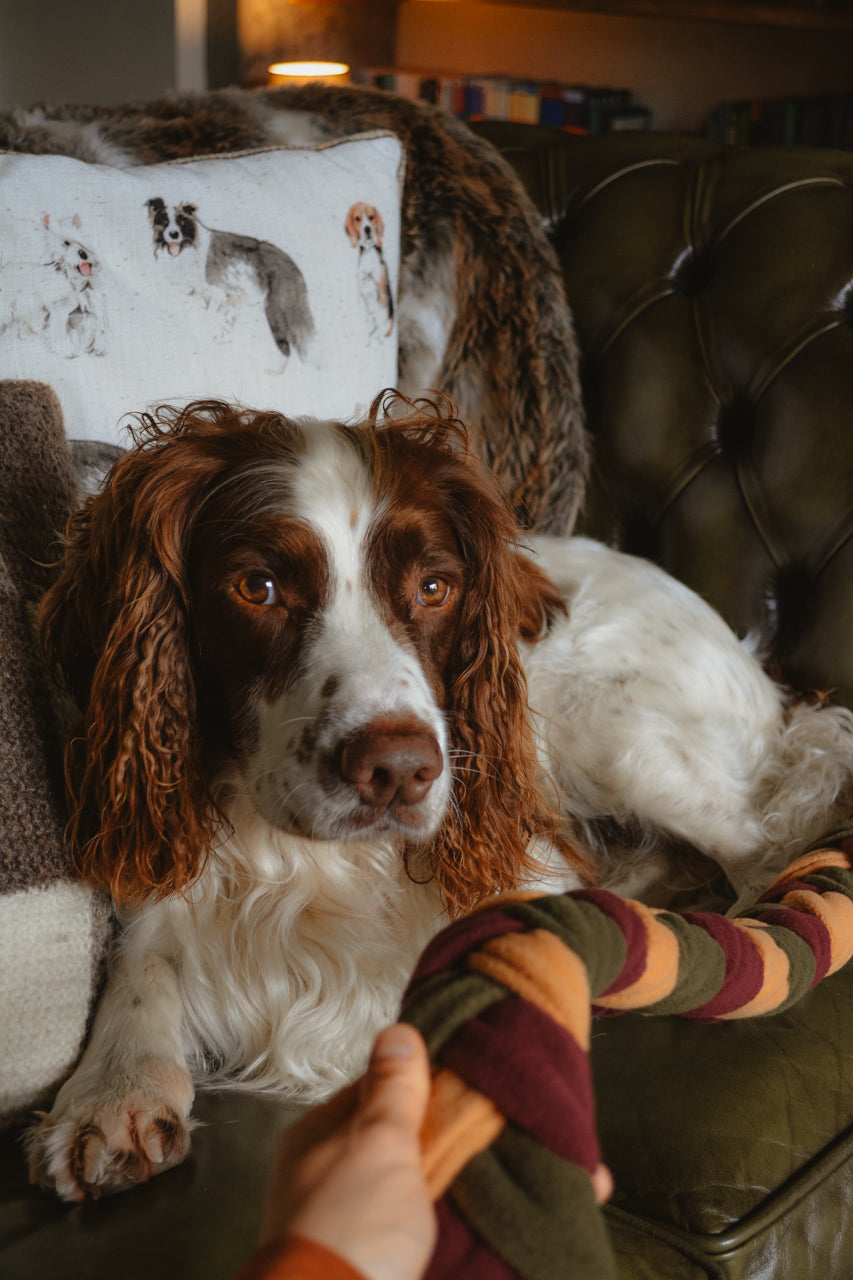 HARVEST Forager’s Plait – Snuffle Toy Puzzle Feeder