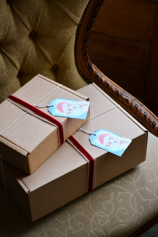 "Double Trouble" Christmas Gift Box