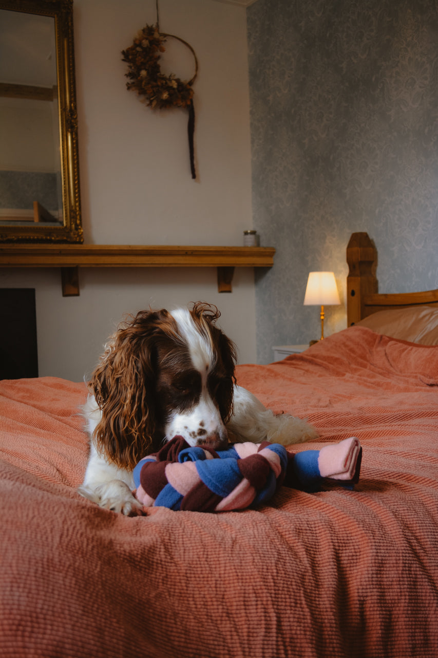 MIDNIGHT ROSE Forager’s Plait – Snuffle Toy Puzzle Feeder