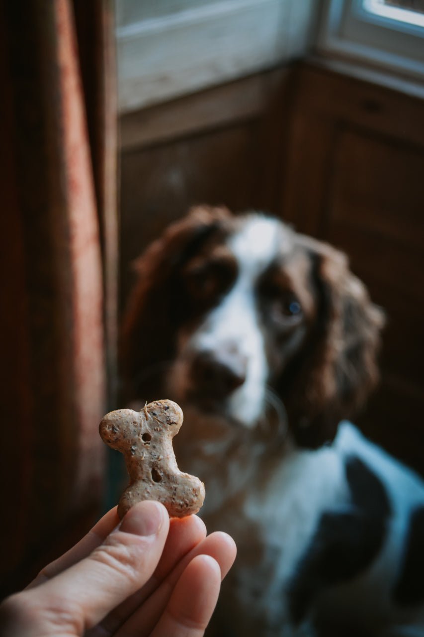 BrewBix Upcycled Dog Treats - Calm Dog Games