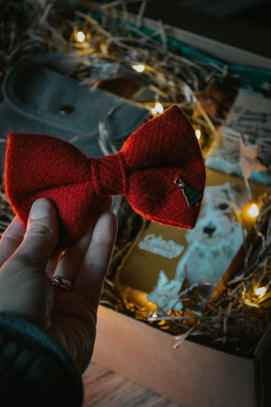 Christmas Bow Tie - Calm Dog Games