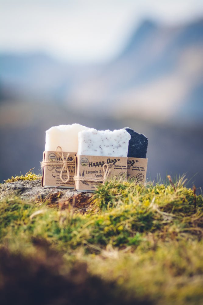 Handmade Dog Soap {Eco & Natural} - Calm Dog Games