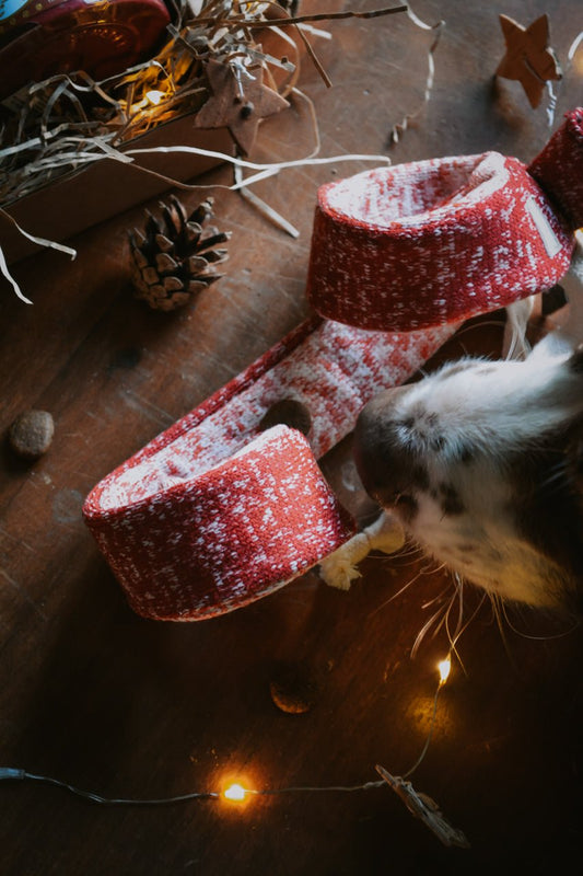 LOLLIPOP Snuffle Toy - Calm Dog Games