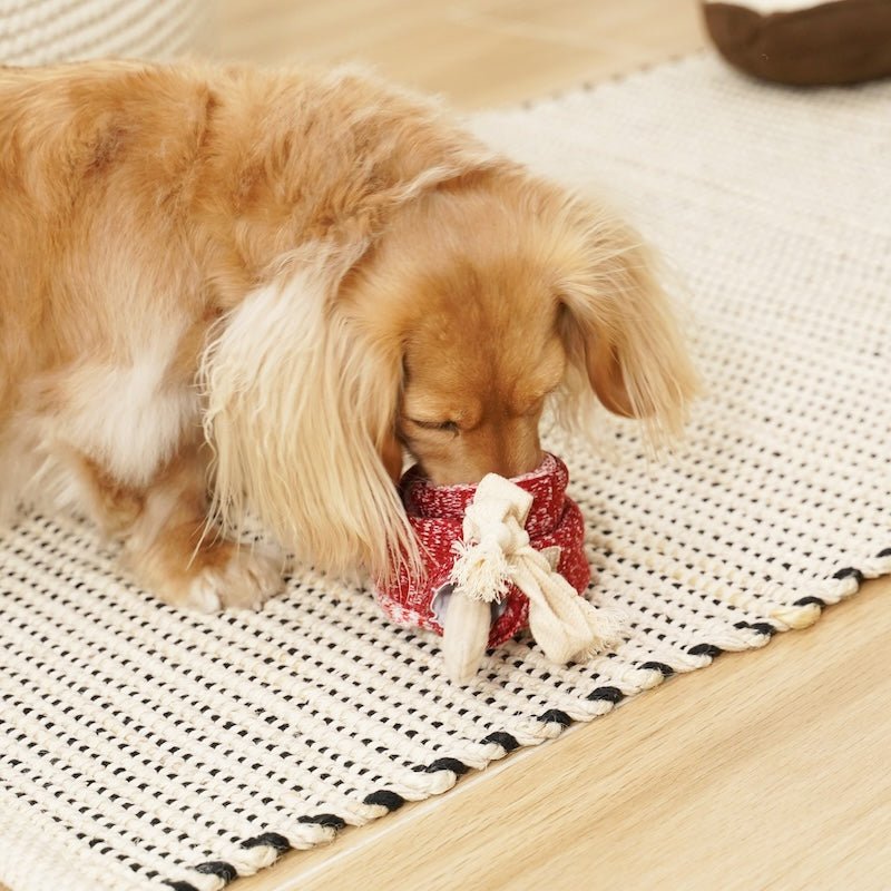 LOLLIPOP Snuffle Toy - Calm Dog Games
