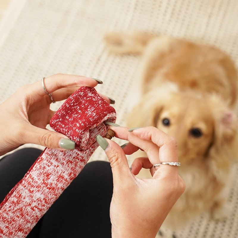 LOLLIPOP Snuffle Toy - Calm Dog Games