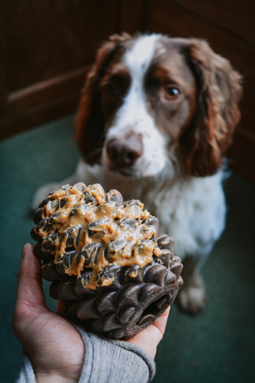 Pine Cone Treat Dispenser - Calm Dog Games
