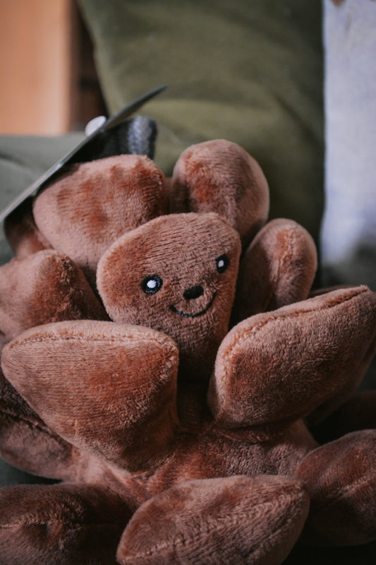 Pinecone Dog Toy - Calm Dog Games