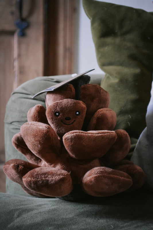 Pinecone Dog Toy - Calm Dog Games