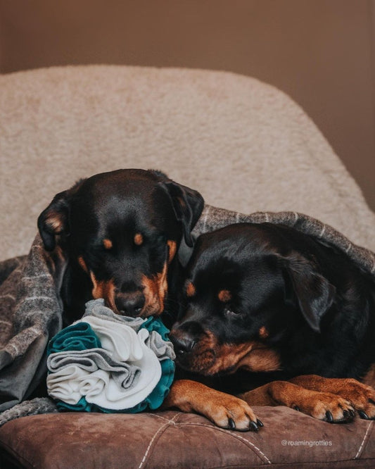 Snuffle Ball Enrichment Toy (X-Large) - Calm Dog Games