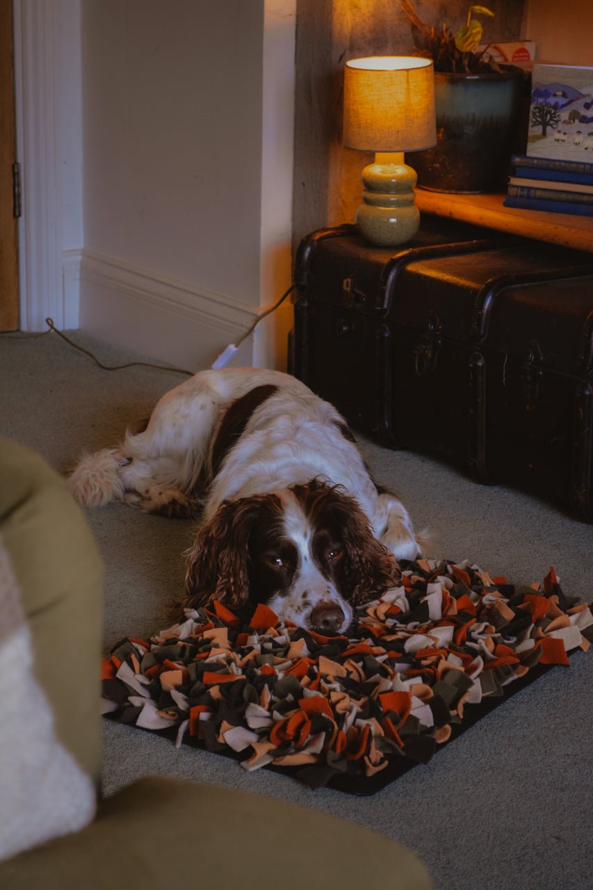 "The Sniffari Meadow" - Snuffle Mat Craft Kit (X - Large) - Calm Dog Games