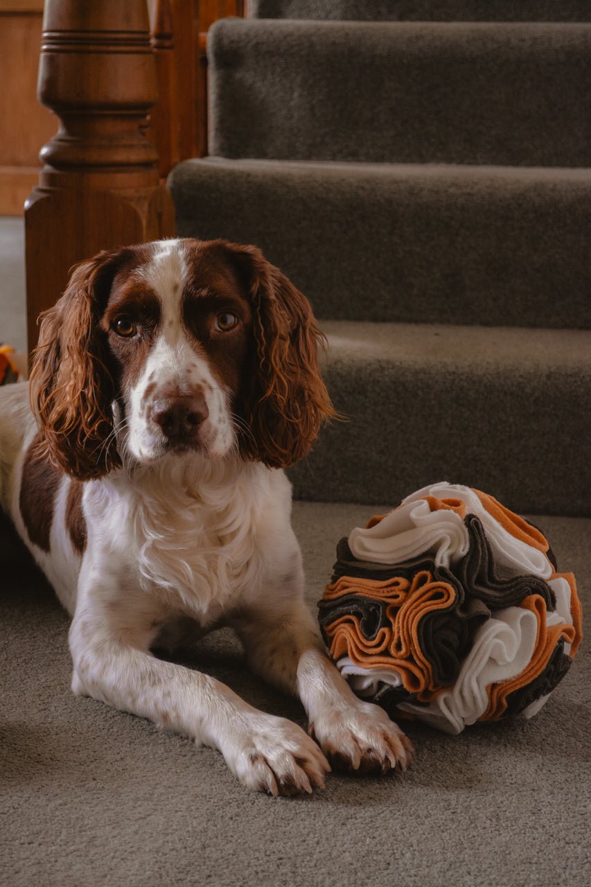 "The Snufflepuff" - Snuffle Ball Enrichment Toy (X - Large) - Calm Dog Games