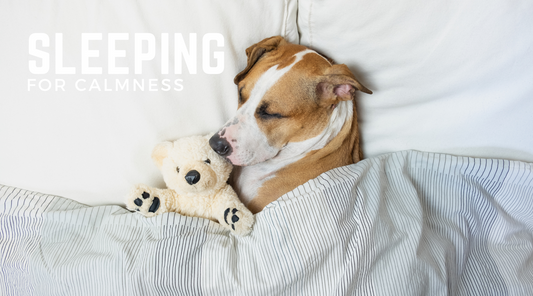 Let Sleeping Dogs Lie: Sleeping for Calmness