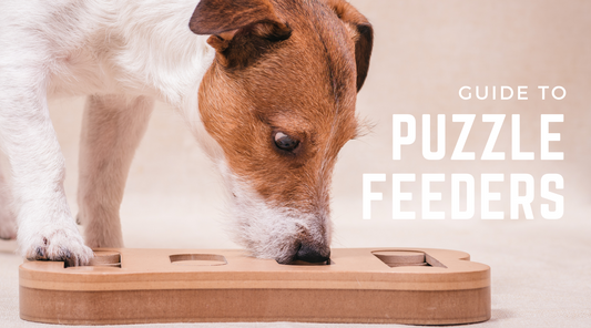 Dog Puzzle Feeders: Enrichment or Hype?