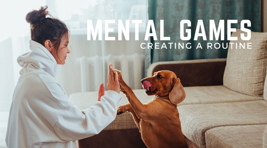High-Energy Dogs: How To Add Mental Games into Your Daily Routine!