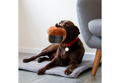 Acorn Dog Toy