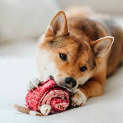 LOLLIPOP Snuffle Toy