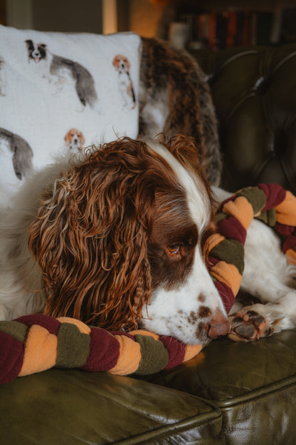 HARVEST Forager’s Plait – Snuffle Toy Puzzle Feeder