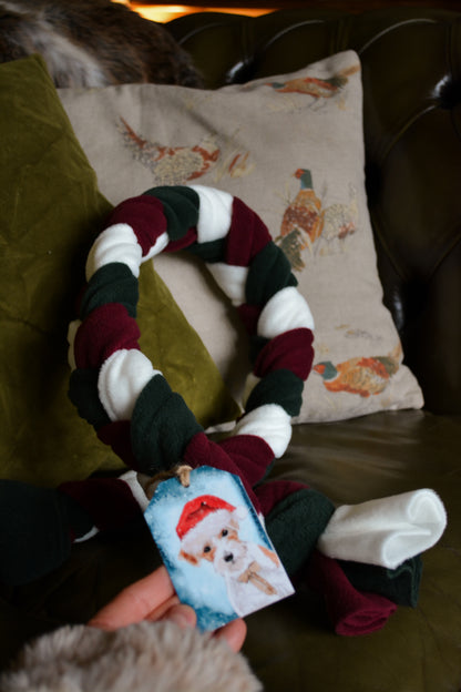 CHRISTMAS Enrichment Snuffle Toy