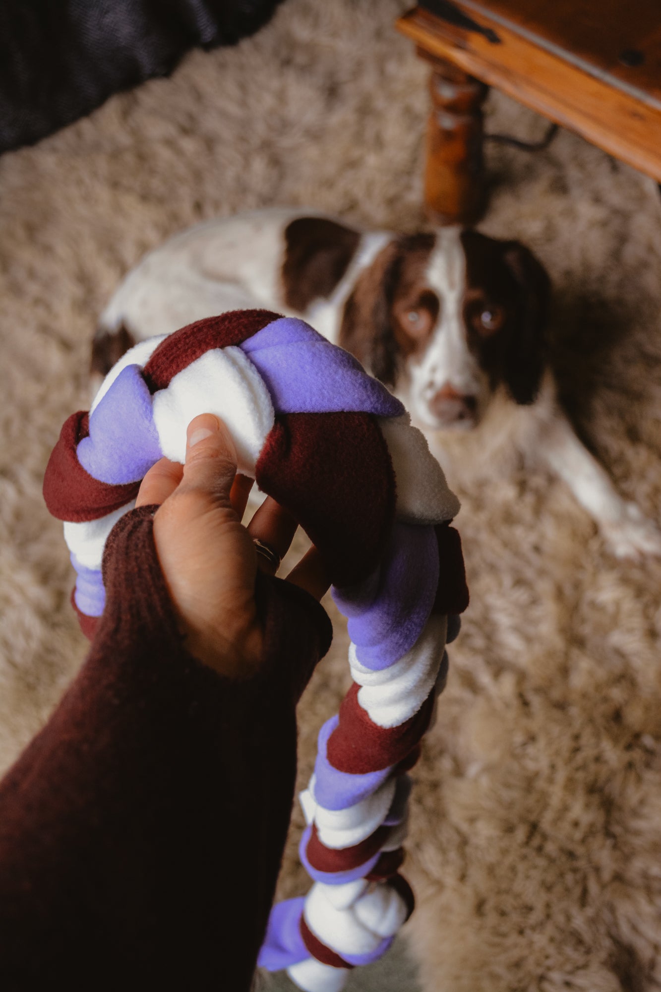 PLUM Enrichment Snuffle Toy
