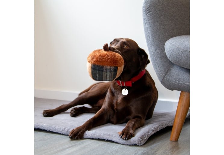 Acorn Dog Toy - Calm Dog Games