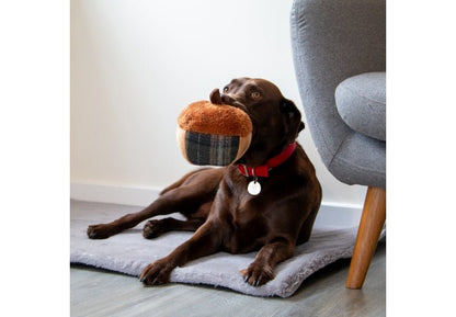 Acorn Dog Toy - Calm Dog Games