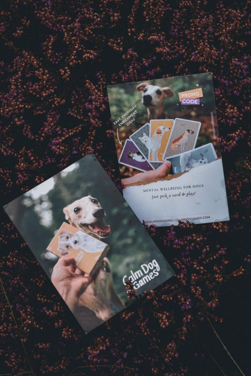 Ambassador Business Cards - Calm Dog Games