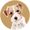Calm Dog Games