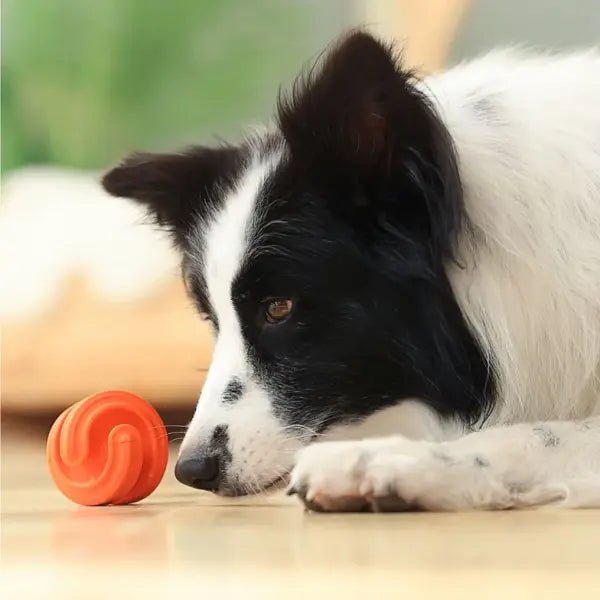 Chewtastics Geometrics - Calm Dog Games