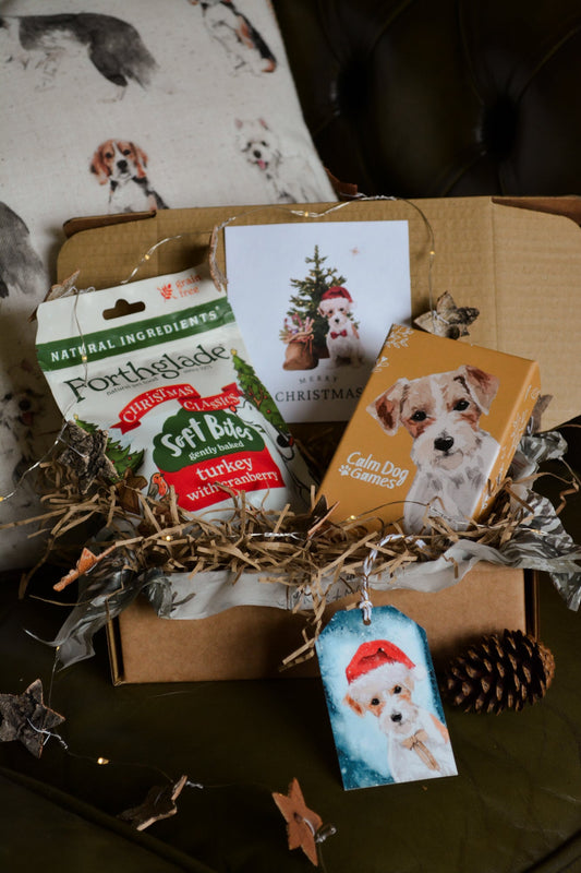 "Deck the Halls" Christmas Gift Box - Calm Dog Games