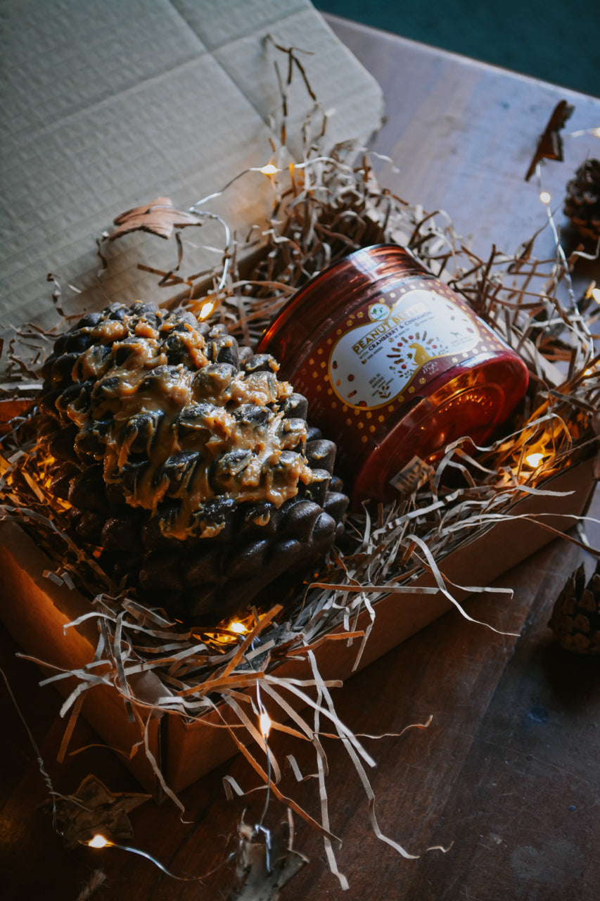 Örva Pinecone Treat Dispenser & Lick Toy