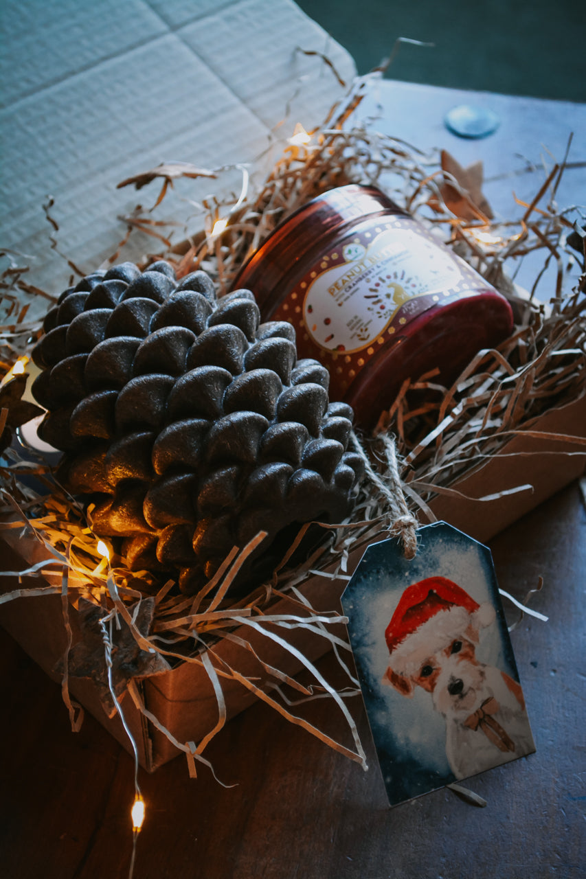 Örva Pinecone Treat Dispenser & Lick Toy