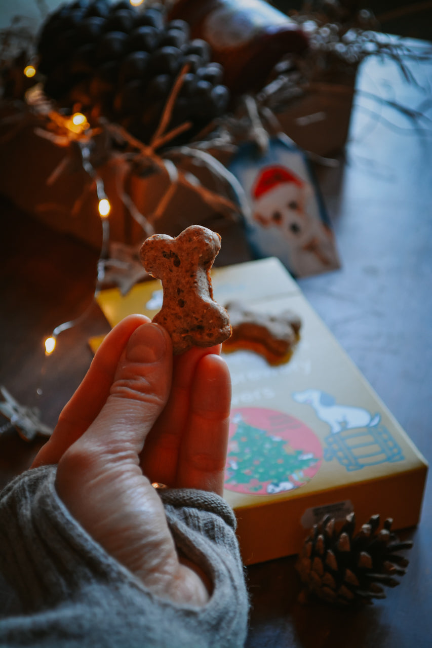 BrewBix Upcycled Dog Treats