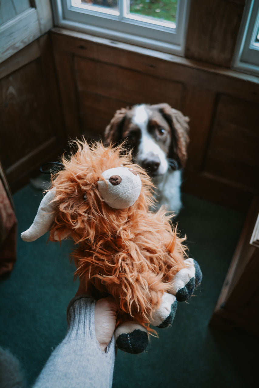 Highland "Coo" Dog Toy