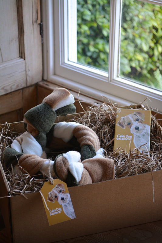 Enrichment Bestseller Bundle (FREE UK Ship!) - Calm Dog Games