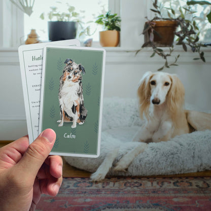Enrichment Deck - Brain Games for Dogs - Calm Dog Games