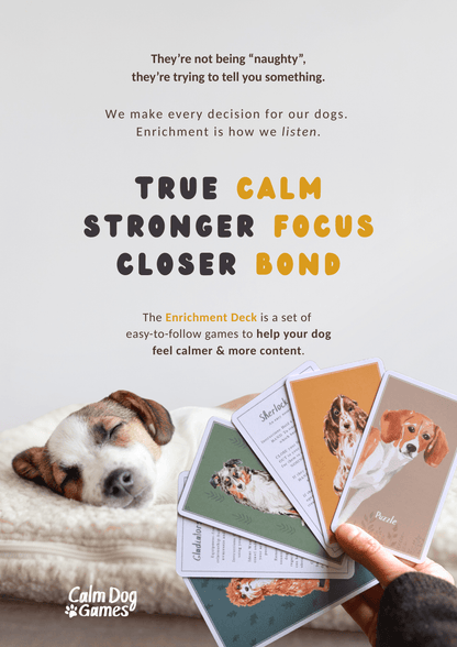 Enrichment Deck (Brain Games for Dogs) - Updated ✨ - Calm Dog Games