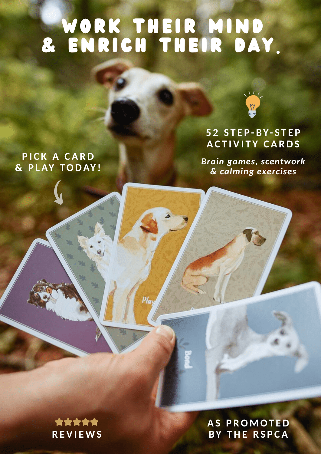 Enrichment Deck (Brain Games for Dogs) - Updated ✨ - Calm Dog Games