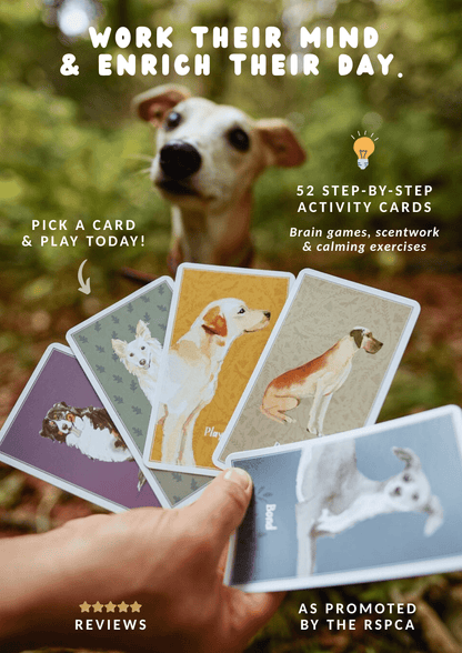 Enrichment Deck (Brain Games for Dogs) - Updated ✨ - Calm Dog Games
