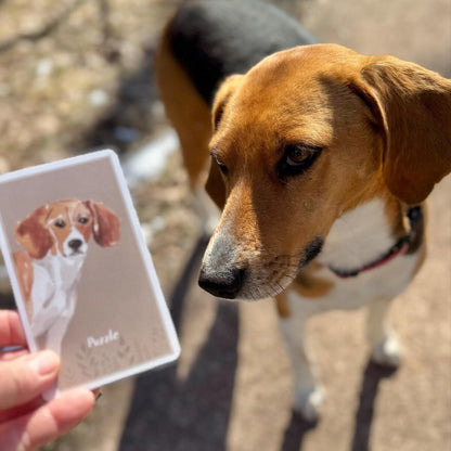 Enrichment Deck (Brain Games for Dogs) - Updated ✨ - Calm Dog Games