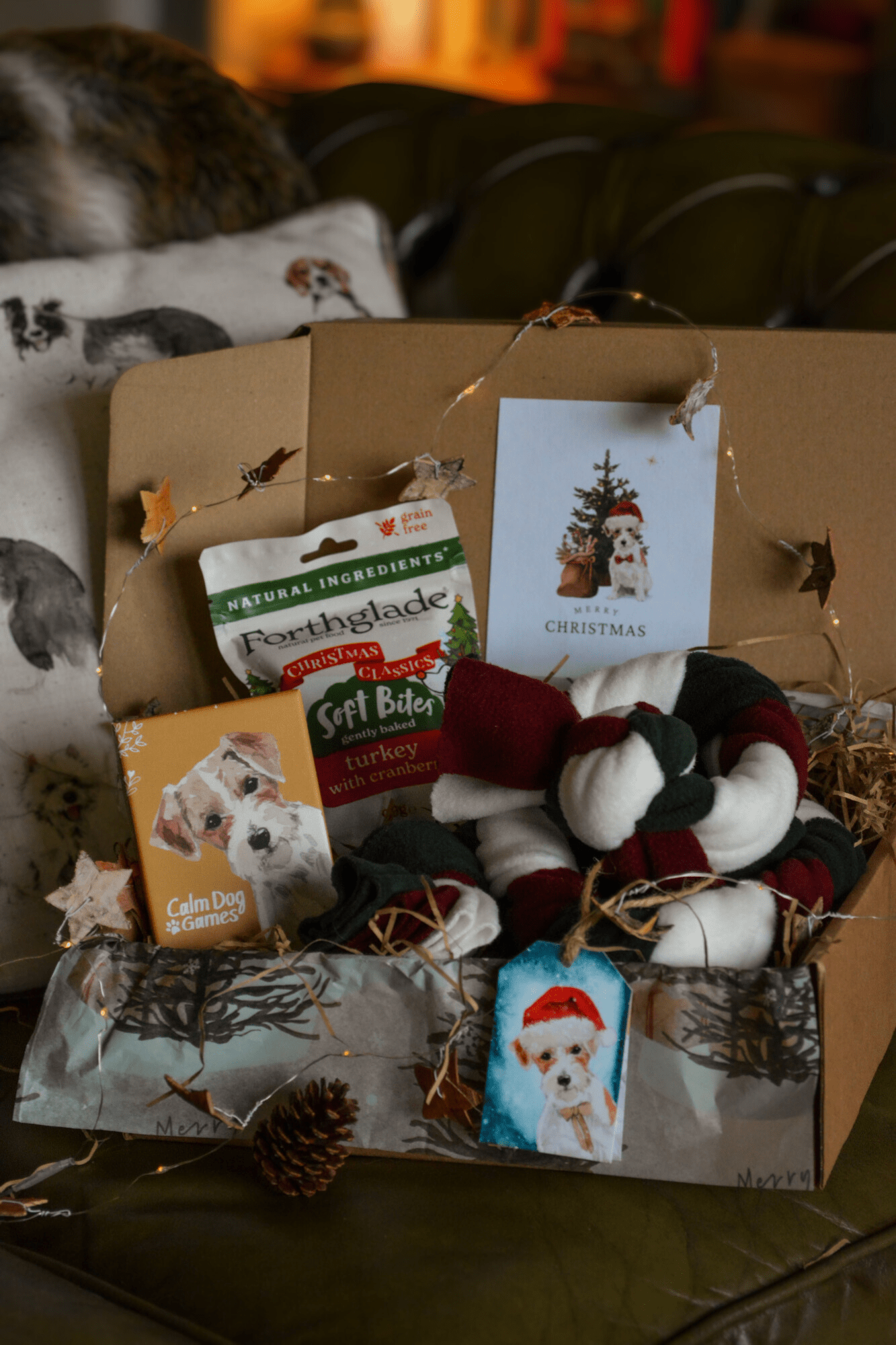 "Favourites" Christmas Gift Box - Calm Dog Games