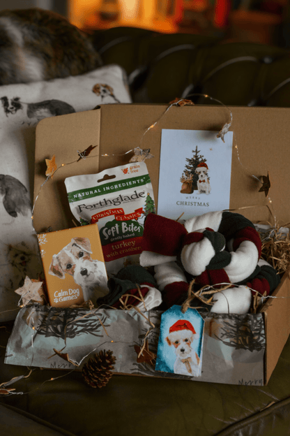 "Favourites" Christmas Gift Box - Calm Dog Games