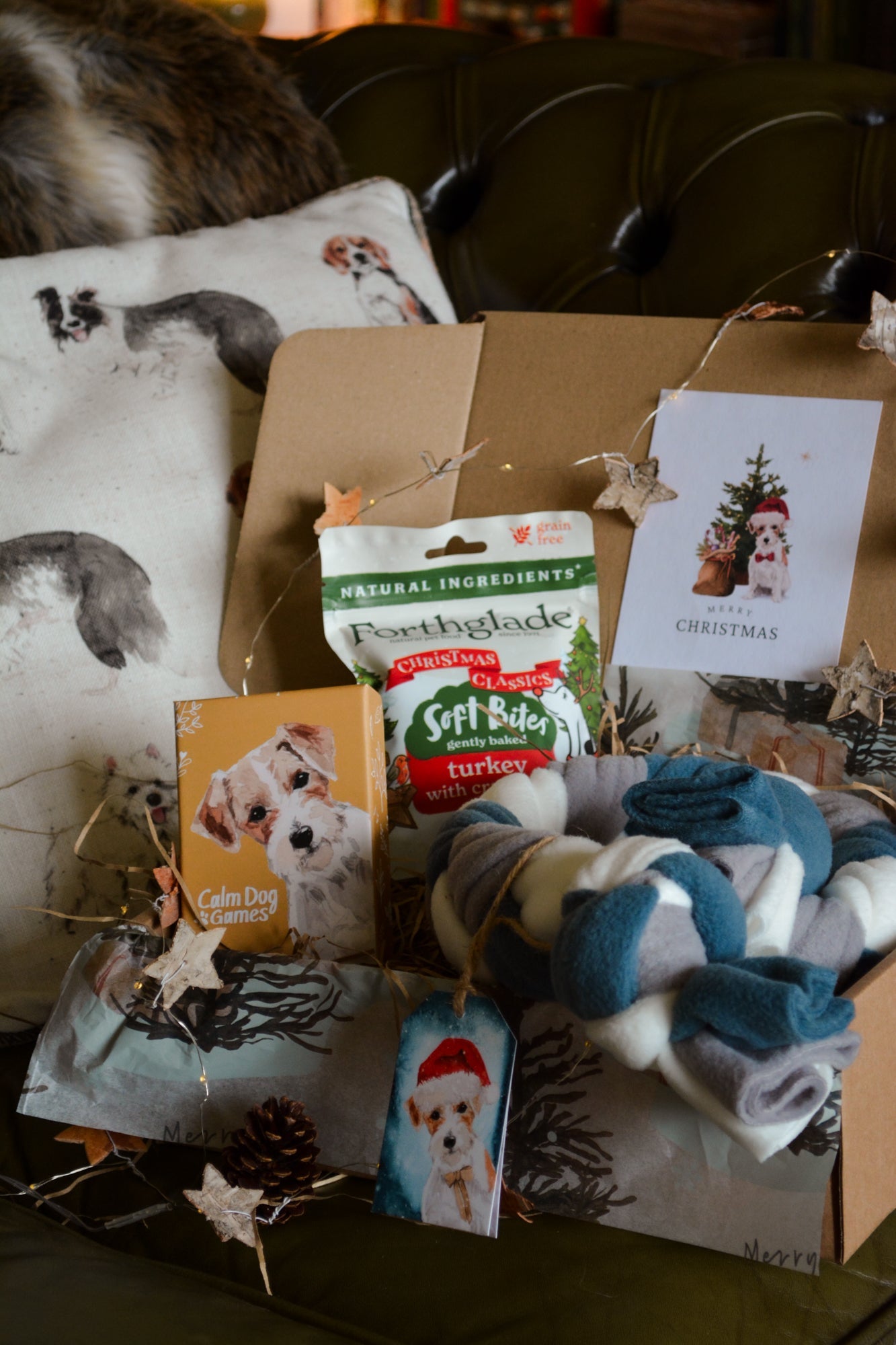 "Favourites" Christmas Gift Box - Calm Dog Games