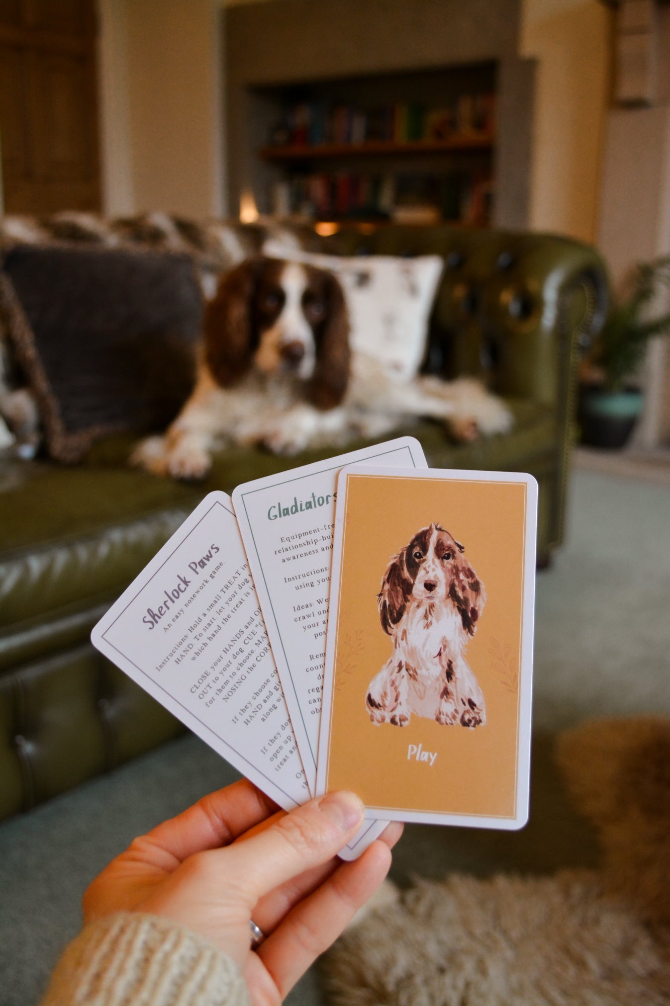 "Favourites" Christmas Gift Box - Calm Dog Games