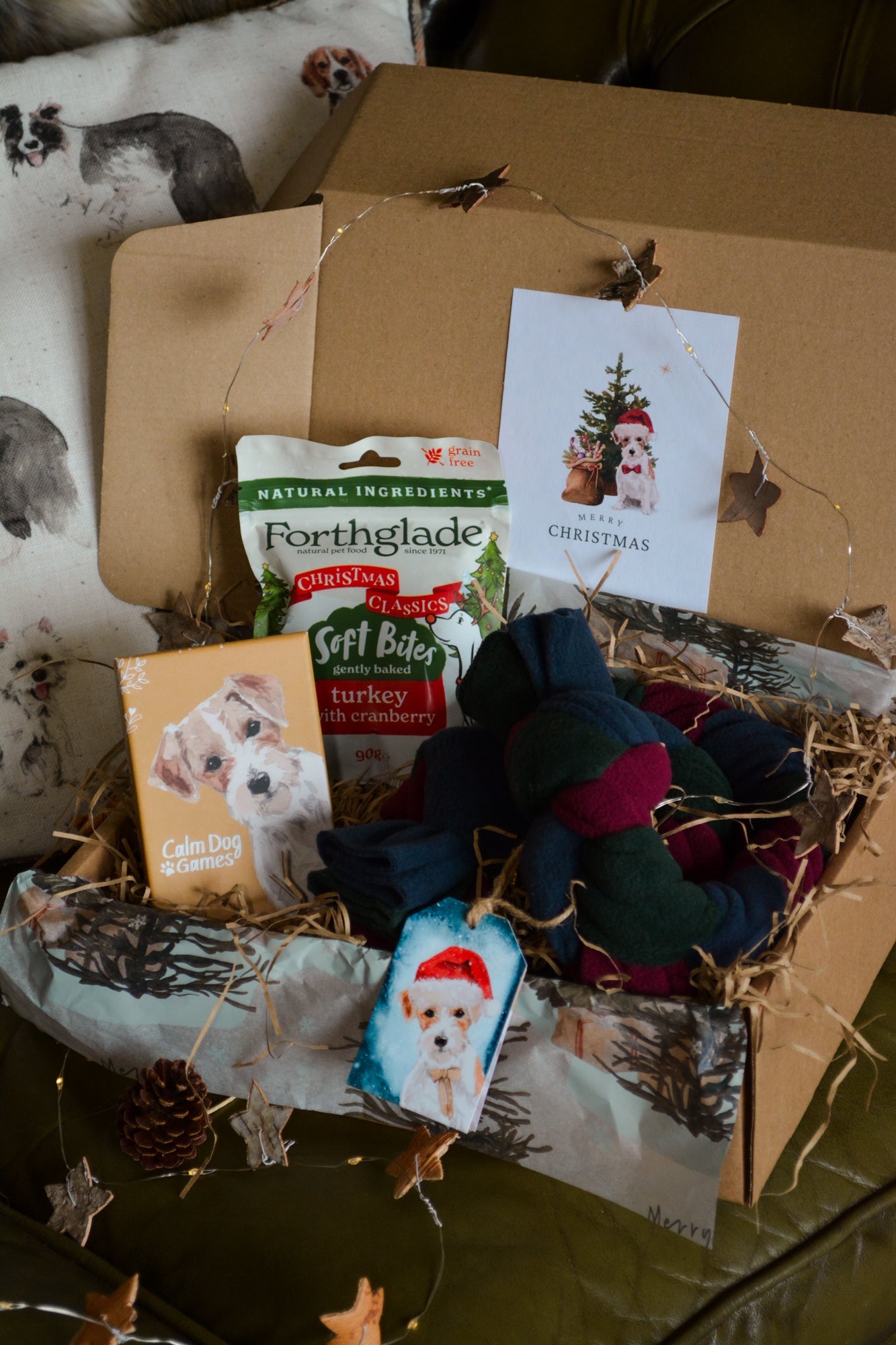 "Favourites" Christmas Gift Box - Calm Dog Games