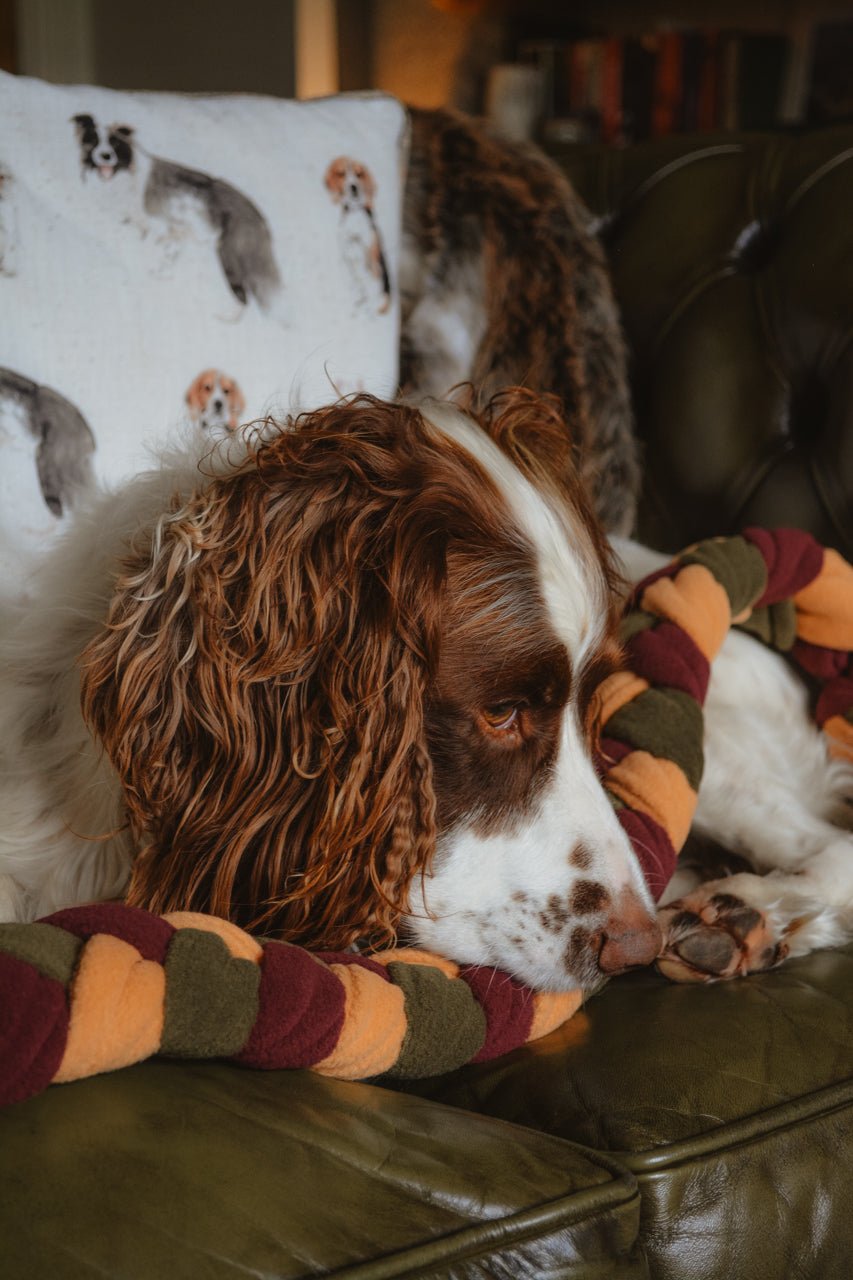 HARVEST Enrichment Snuffle Toy - Calm Dog Games