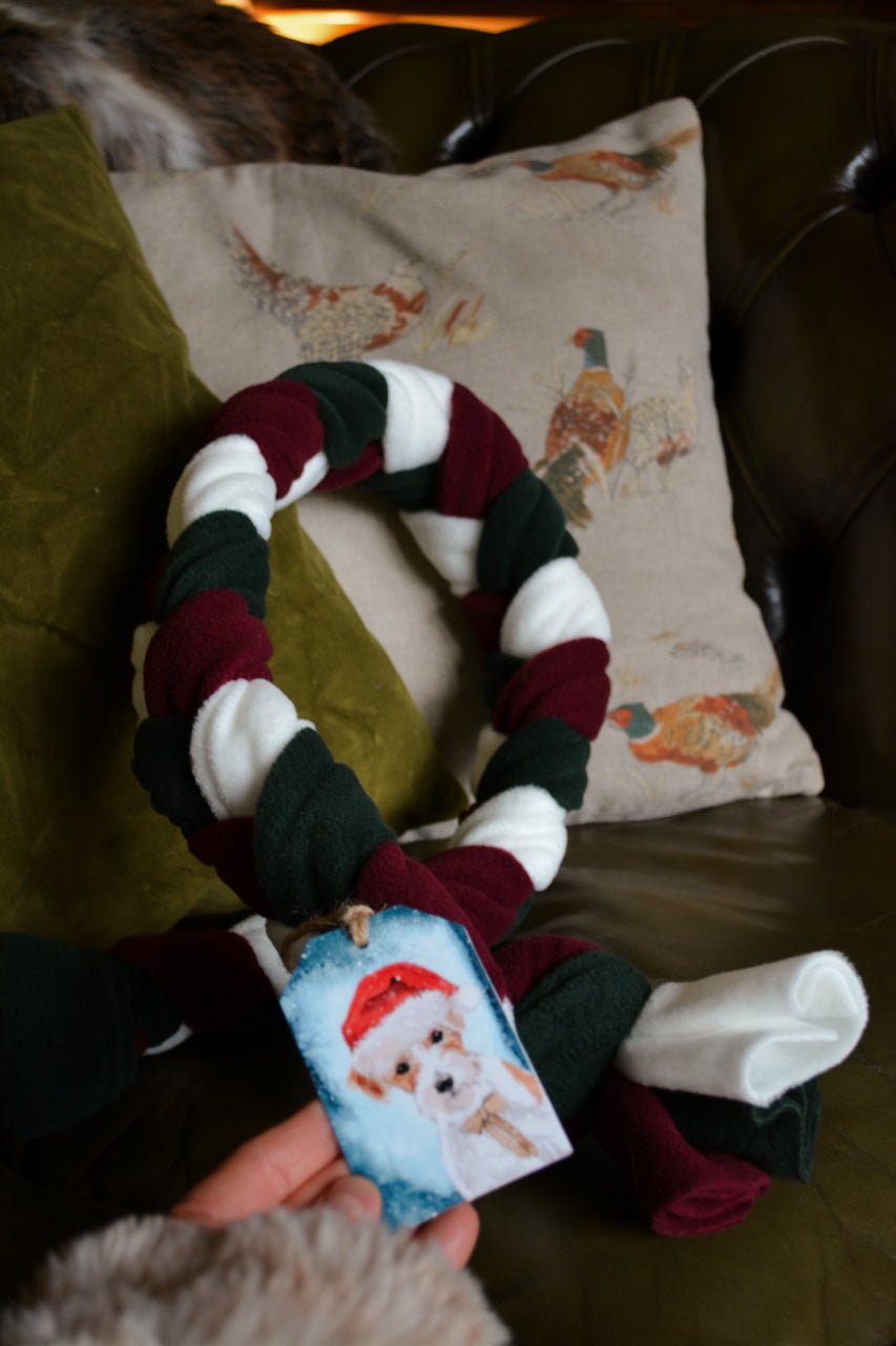 MISTLETOE Enrichment Snuffle Toy - Calm Dog Games