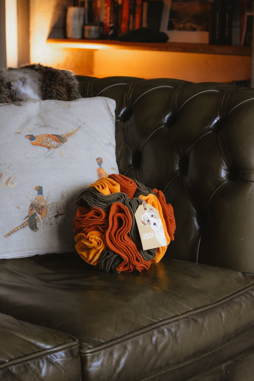 PUMPKIN PATCH Snuffle Ball Puzzle Feeder Toy - Calm Dog Games