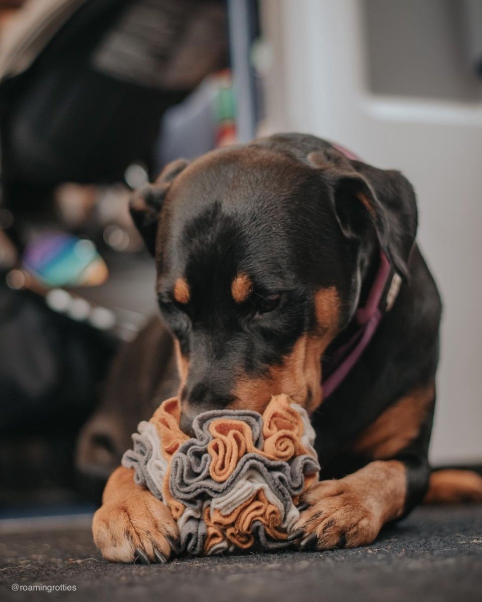 Snuffle Ball Dog Toy Fewlew Snuffle Ball For Dogs, Sniffle Interactive ...